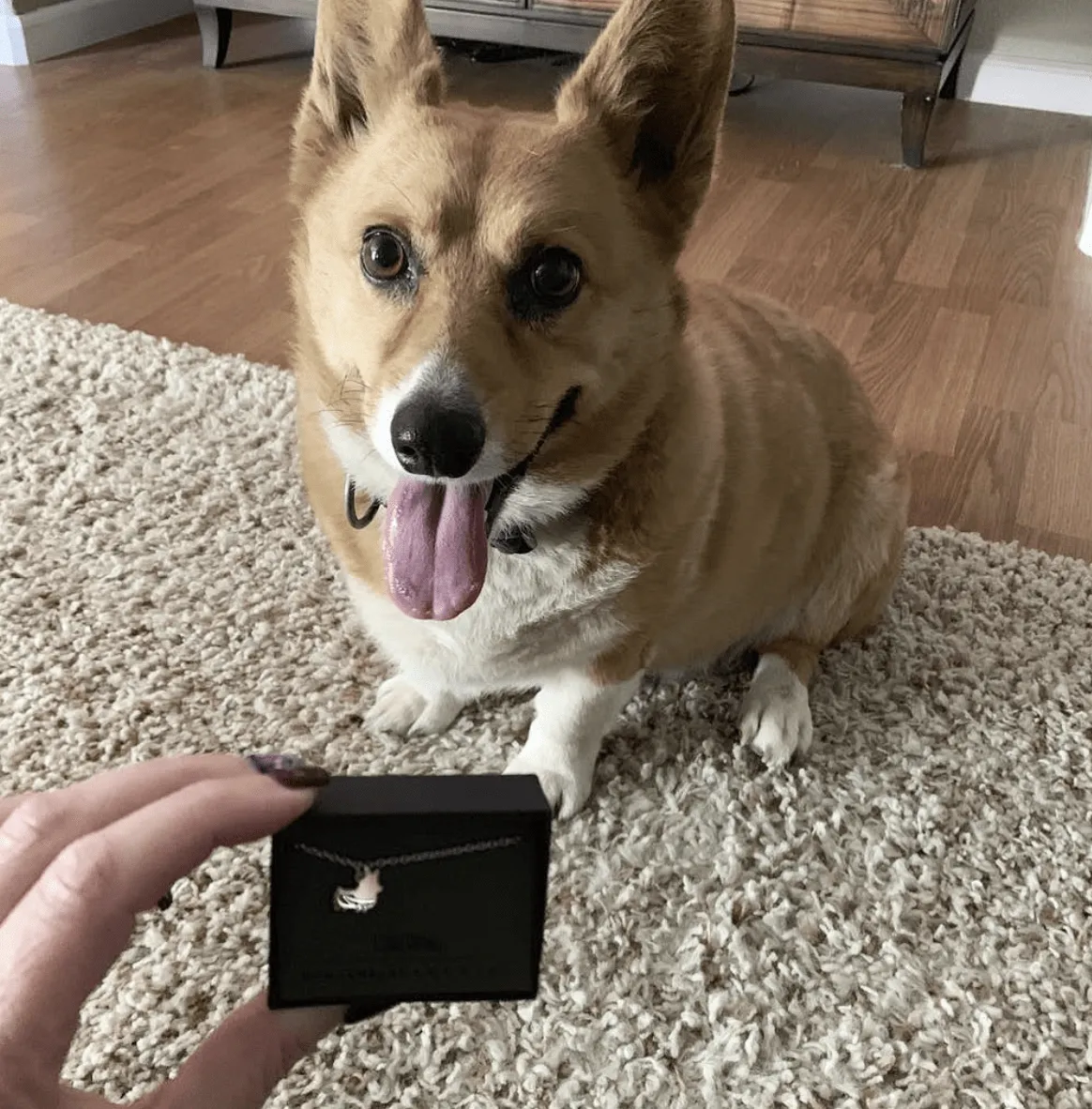 PREORDER: Corgi Things Necklace | Sterling Silver